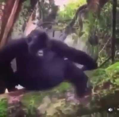 HMF while I prepare to get off this branch