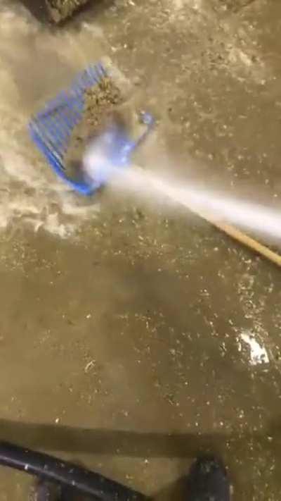 Prematurecelebration After Fishing Phone out of a Poop Pit