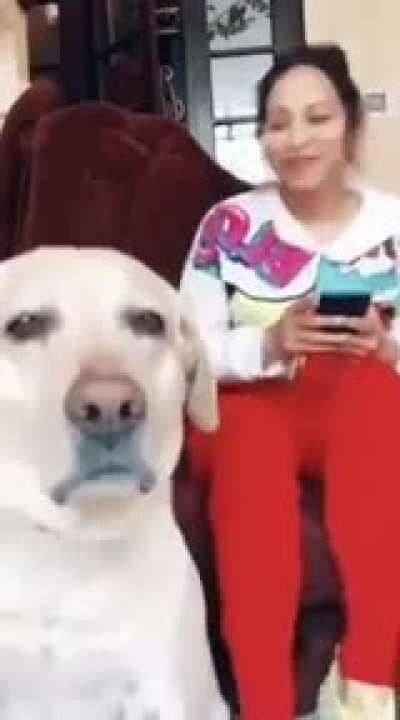 Basu' si cu Toba mare, boss level