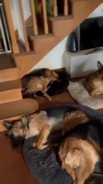 I found the paradise on earth!