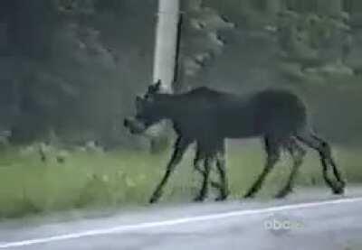 And his name was death