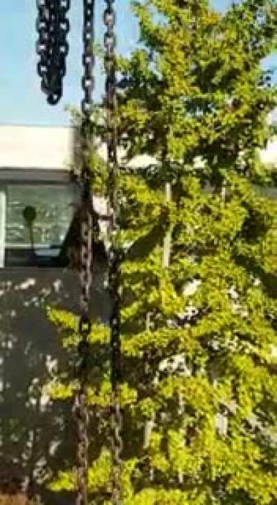 When safety is a foreign word