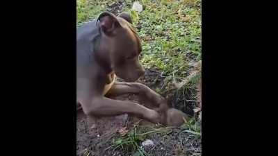 I cant go and play, I have work to do