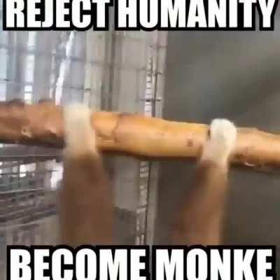 Thanks, I hate being human…