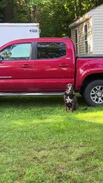 Spent 10 days with Grandpa while we were on our Honeymoon and now he’s refusing to come home. My dad is his favorite person in the world.