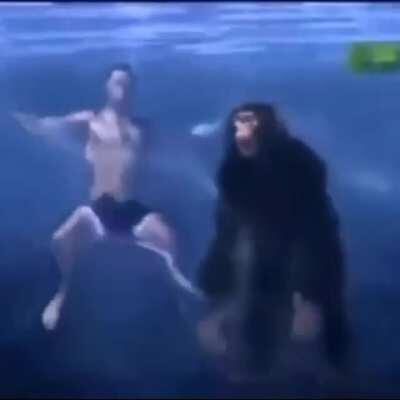 Don’t know if this has been posted before