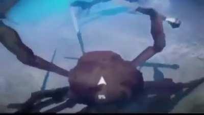 She dislikes video games