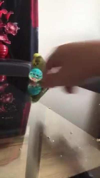 My boy is learning 🥰