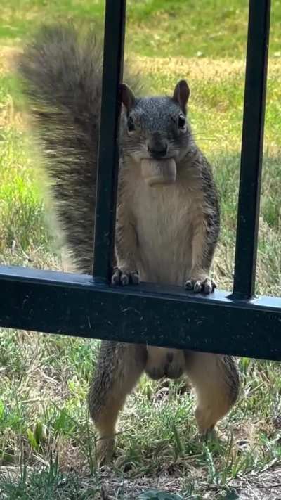 Why are these degenerates allowed to be naked in public?