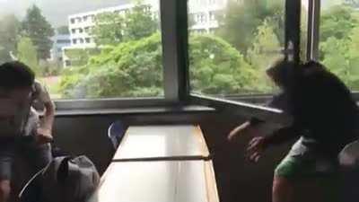 Two idiots demonstrating the feat of... I don't know