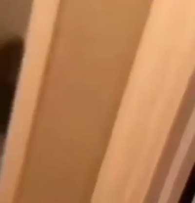 rip and tear until it's done