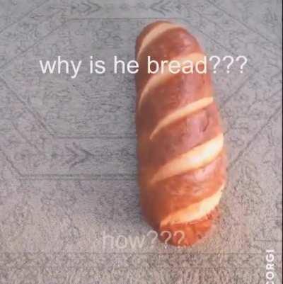 Heard you guys liked wholesome posts