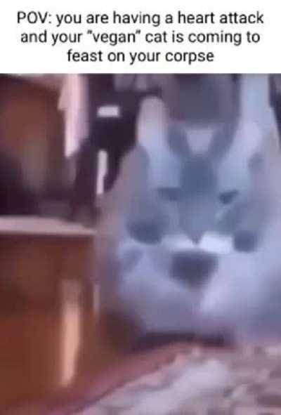 Stop having it then.