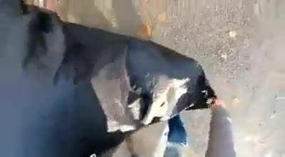 He was doing so well