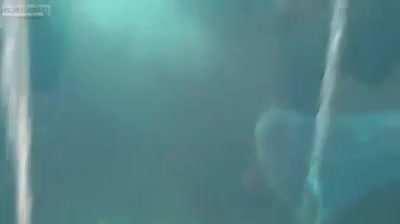 Messing with a shark...