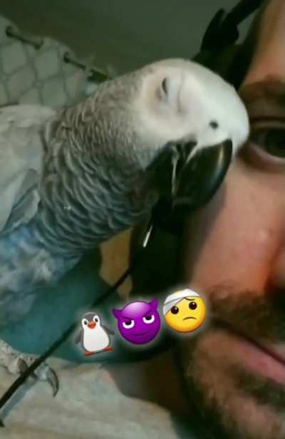 Been innocent victim of blatant human abuse