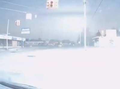 Where this bird decided to land