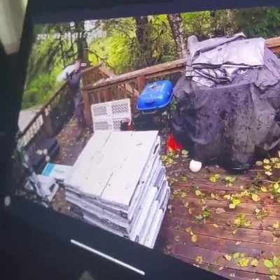 WCGW if you stack too many things on your deck