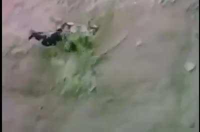 Canadian inventor Troy Hurtubise tests his armored grizzly bear protection suit.