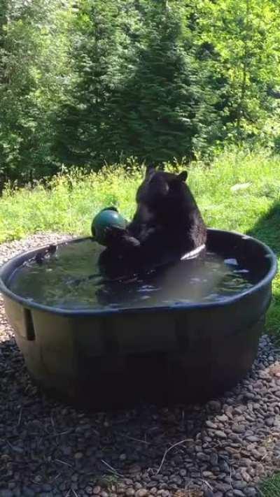 Bear relaxing and taking a bath