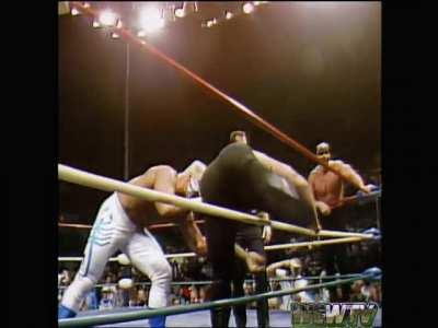 The Road Warriors VS Dusty Rhodes & Sting