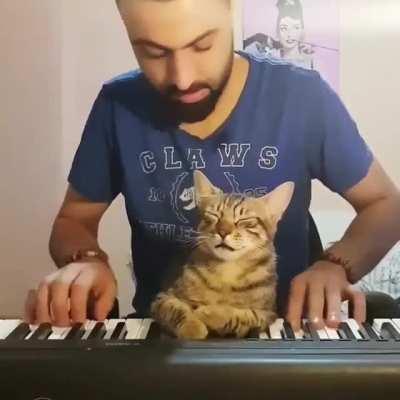 No meio de tanto meme toma um vídeo fofo pra alegrar teu dia