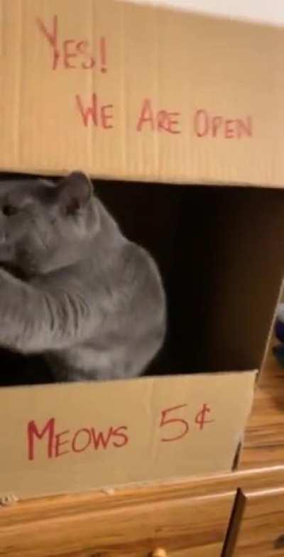 Всё, лавочка закрыта!