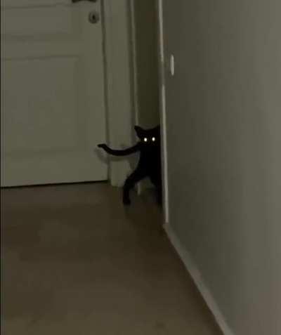 would be scared to see this at night