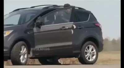 Things are not always what they seem