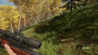 I'll, uhh... Just stay up here.