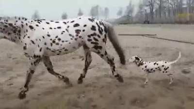 Hey there you have great taste