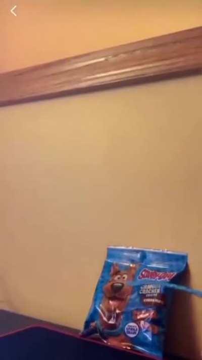 i dont have discord but i think this also counts, this is not racist or anything i dont know anything about discorejrhrheheh