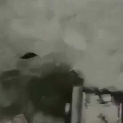 Part 2 live action leaked 😳😳??