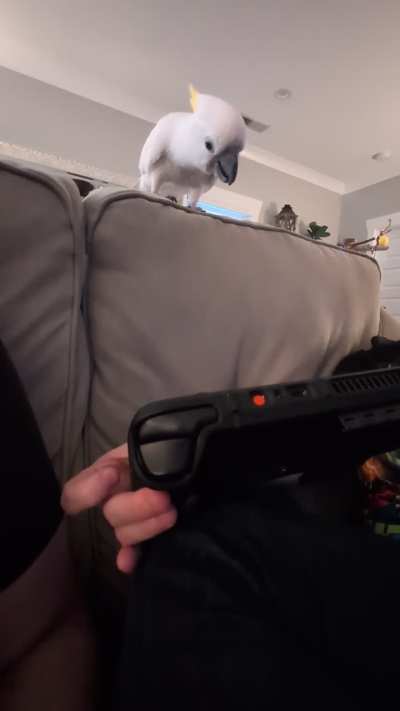 Mesmerized by video games