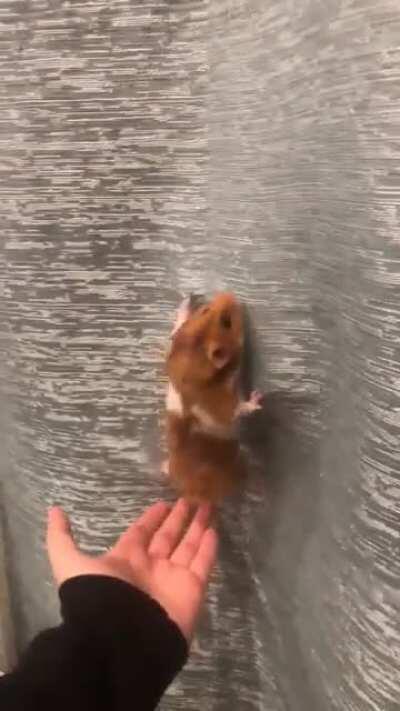 Well this happened....