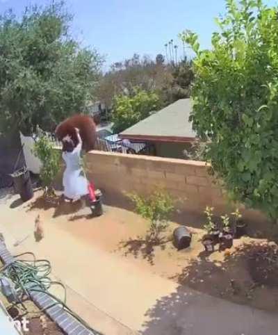 A good example of holding together! With numbers and a crazy dog lady we can even push a bear of a wall! Can be helpful one day, you never know! (bear mother protecting kids is a good one too of course)