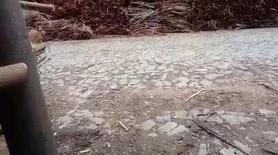 How does it feel Bitches