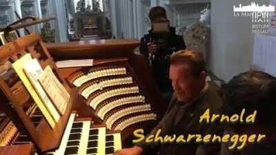 I guarantee this will make you laugh