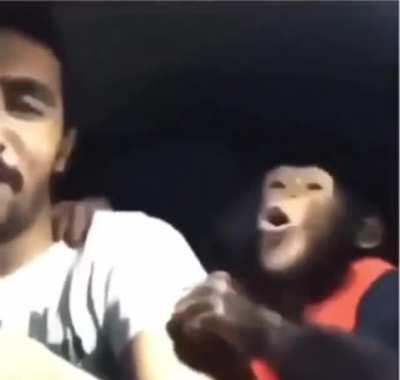 Monky go😂