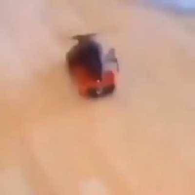 Vehicular manslaughter