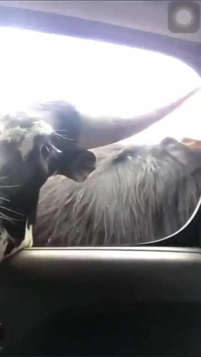 Poor kid had to swallow his puke.