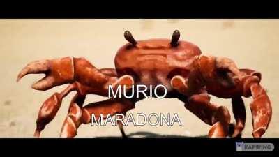 【﻿ｅｅｅｅｅｅｅｅｅｅｅｅｅｅｅ】