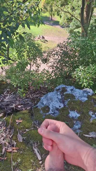 Do you think they would of stopped playing golf if they knew someone was jerking off up above them?