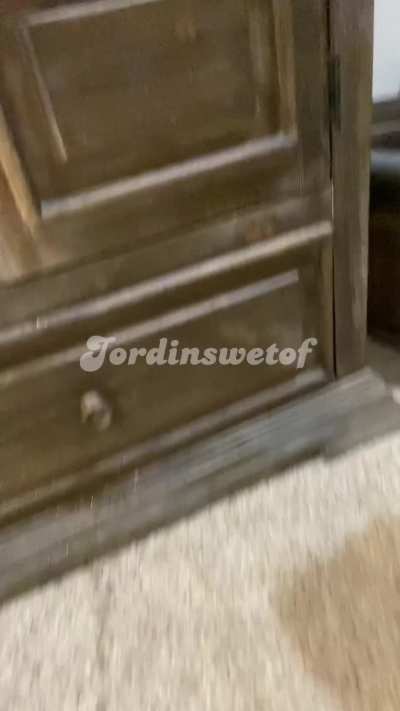 This toy makes me cream and squirt so hard