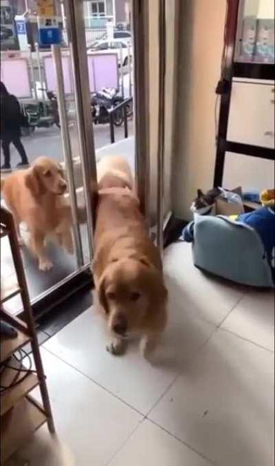 Helping each other through the door