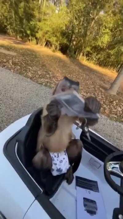 When are we gonna see our cousins drive past us on freeways?