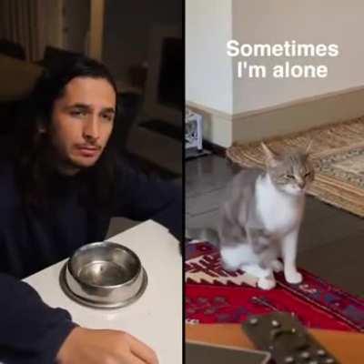 Sometimes I'm Alone (Singing Cat)