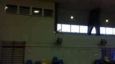 Rubber band powered model aircraft