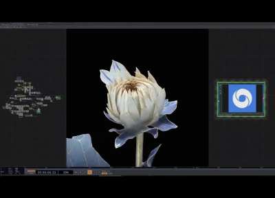 AVP - Definitive Edition [20% discount, only for today]