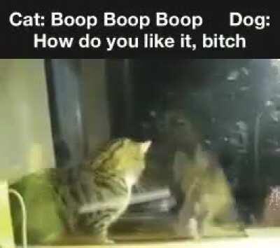 Boop Boop Boop
